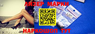 стафф Кузнецк