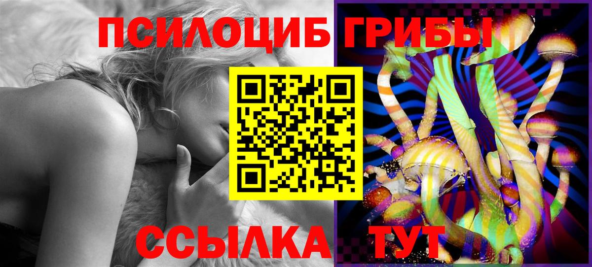 Псилоцибиновые грибы Psilocybe  Вход с VPN  купить закладку  Сосновоборск 
