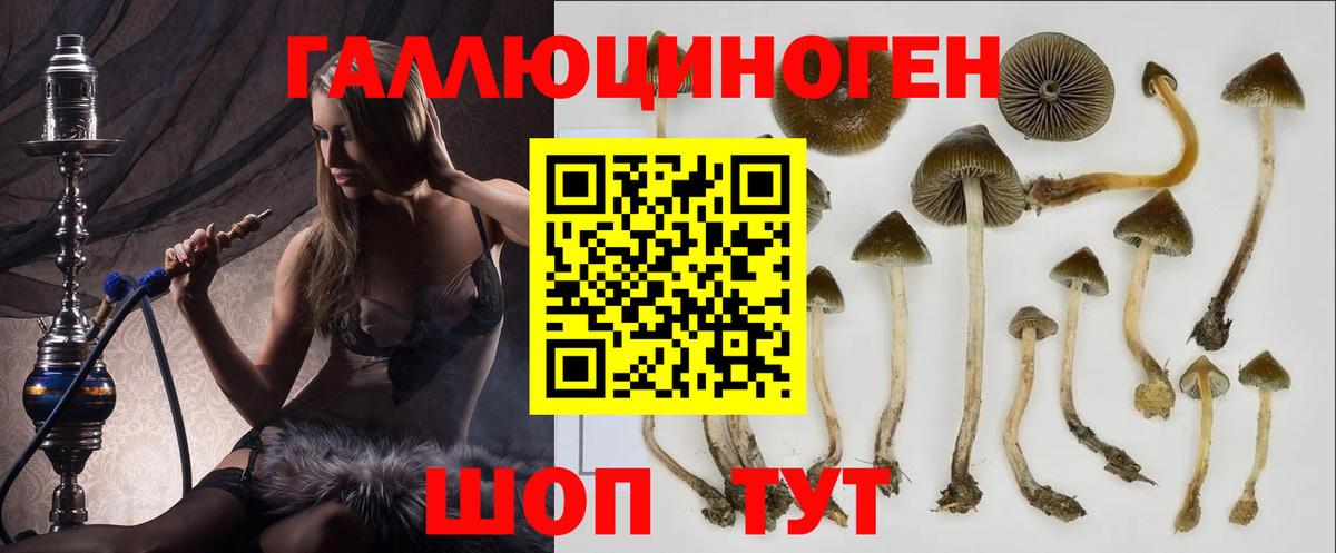 Псилоцибиновые грибы ЛСД Сосновоборск
